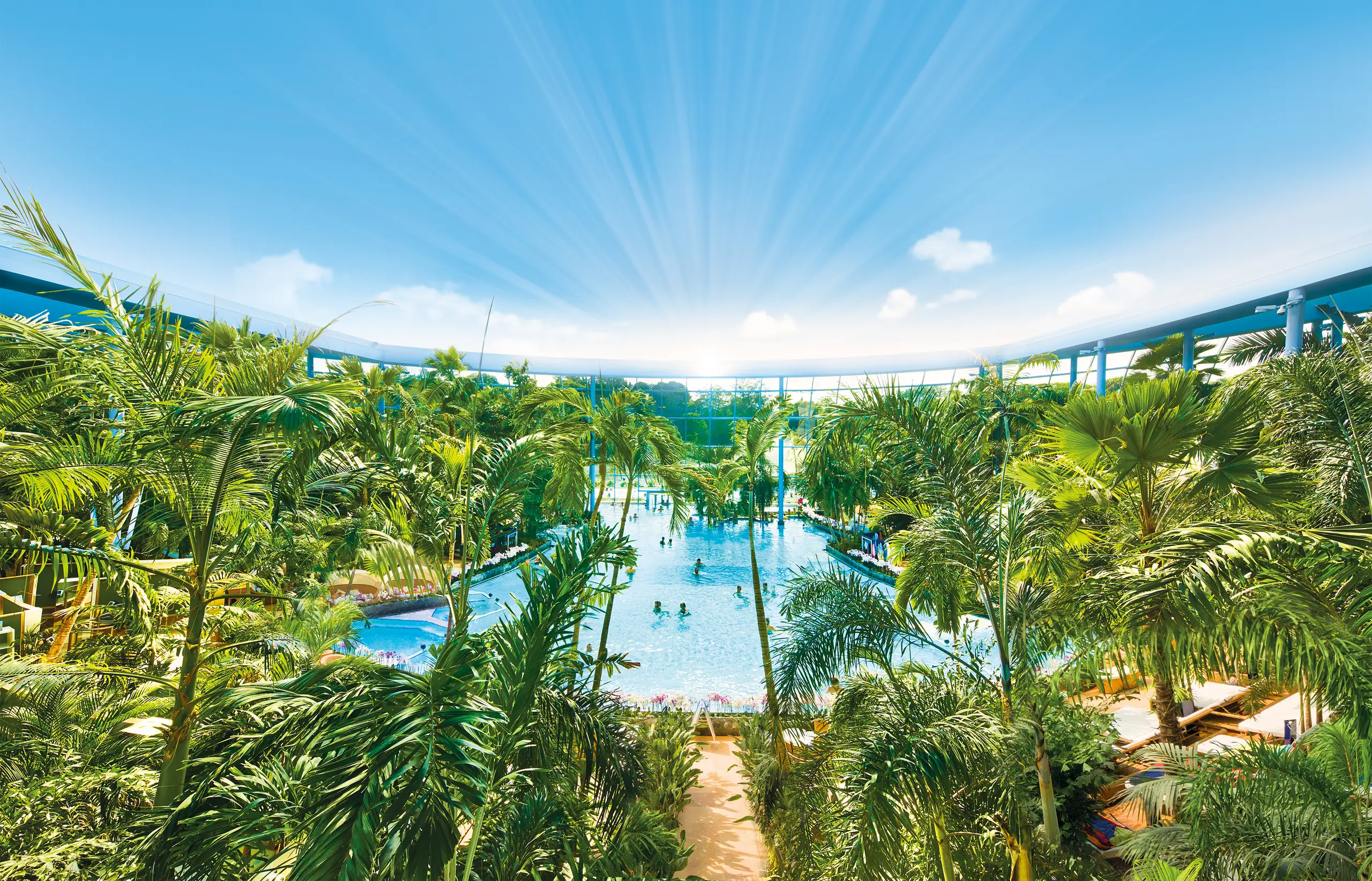 Palm Tree Paradise: Therme Euskirchen